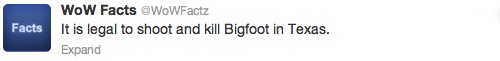 RF Bigfoot