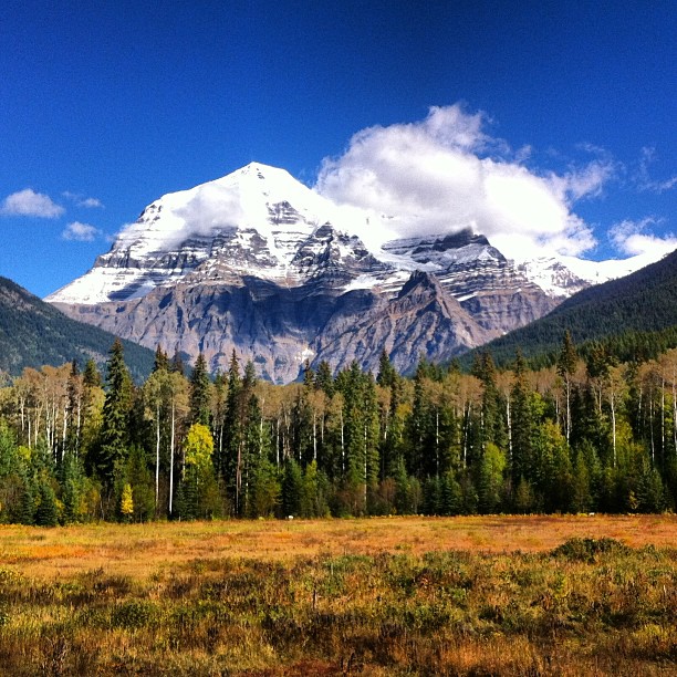 Mt Robson