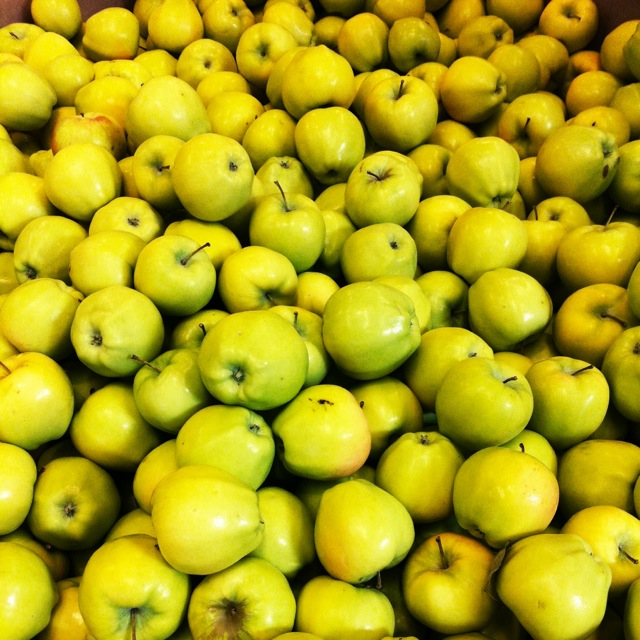 Orchard Apples