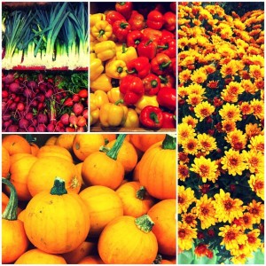 Fall Farmers Market