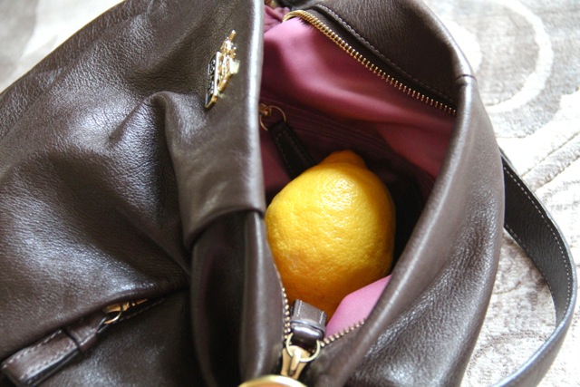 Lemon Purse