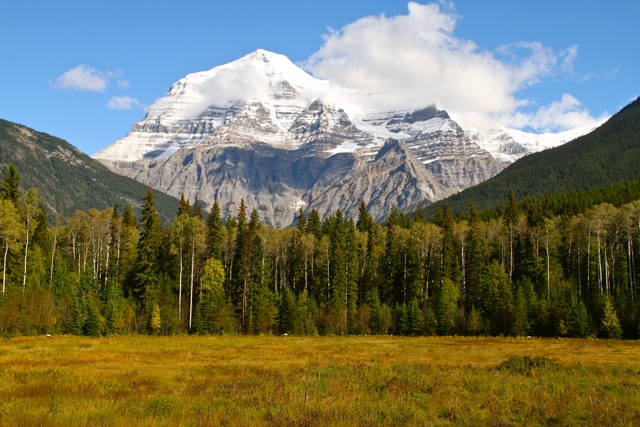 Mt Robson