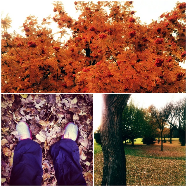 October Leaves