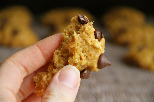 Vegan Chocolate Chip Pumpkin Oatmeal Cookies