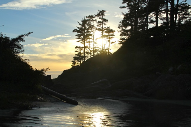 Shoreline Exploring