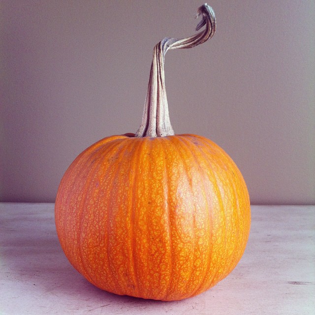 Swirly Pumpkin