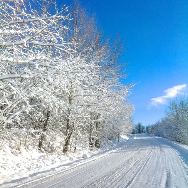 Snowy Road