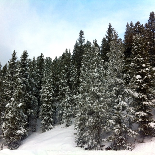 Banff Scenery