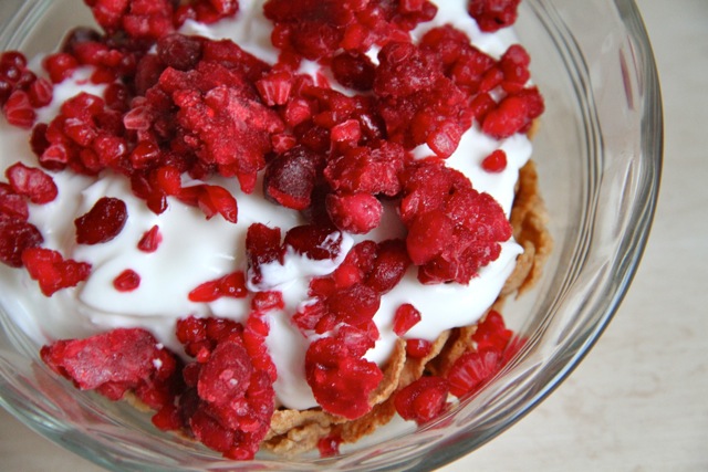 Crunchy Yogurt Bowl