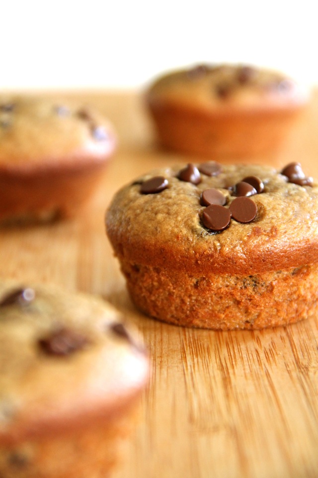 Flourless Chocolate Chip Banana Nut Muffins -- gluten-free, sugar-free, dairy-free, and oil-free. Recipe at runningwithspoons.com.