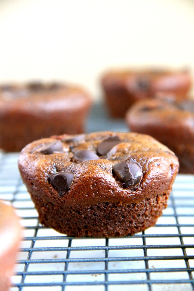 Flourless Double Chocolate Chip Muffins -- made without flour, butter, oil, or grains, but so soft and fluffy that you'd never be able to tell! || runningwithspoons.com #chocolate #muffins #glutenfree #healthy #recipe