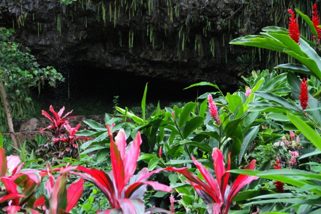 Fern Grotto2