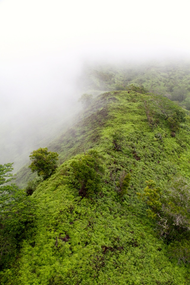 Flying Over Kauai21