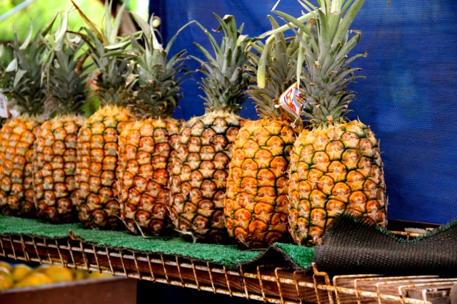 Fresh Pineapple