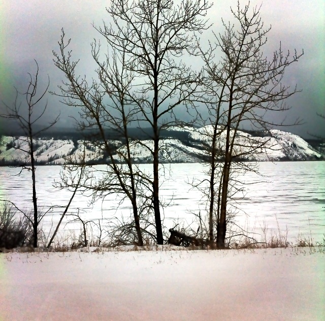 Frozen Lake