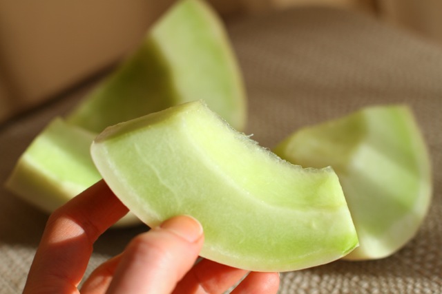 Honeydew