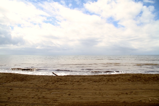 Morning Walk on the Beach