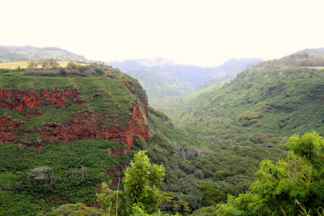 Waimea Canyon3