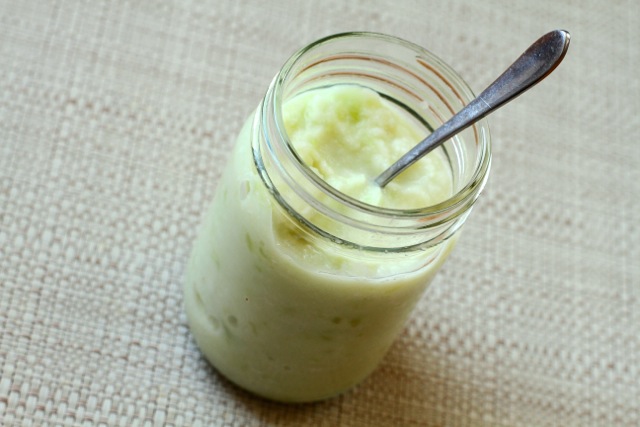 Frozen Honeydew Smoothie