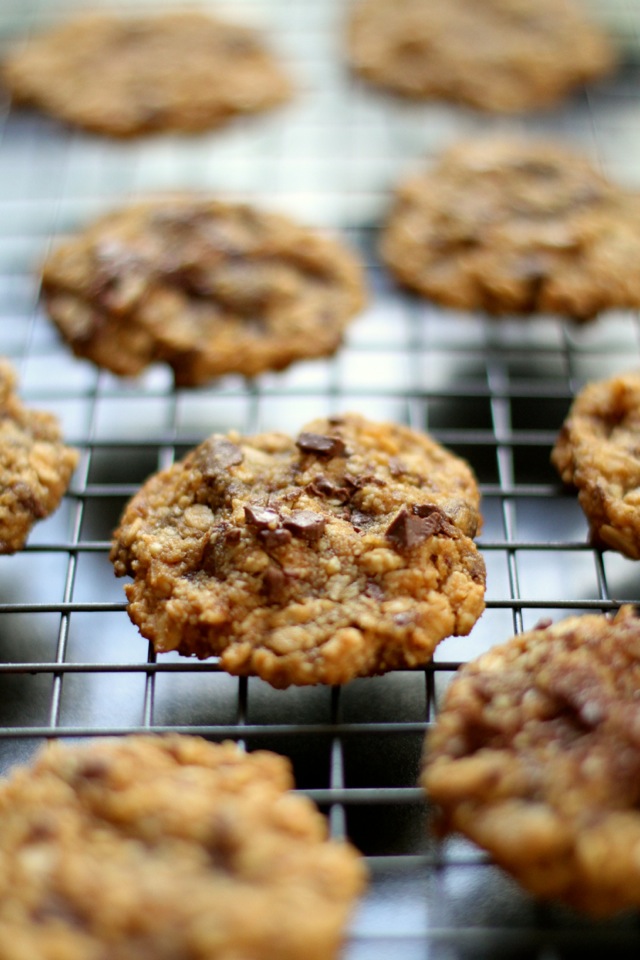 Almond Joy Oatmeal Cookies -- almond flour, coconut, and chocolate in a soft and chewy gluten-free oatmeal cookie || runningwithspoons.com #glutenfree #healthy #cookies