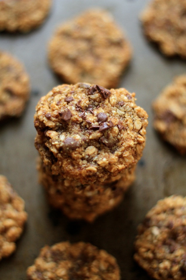 Almond Joy Oatmeal Cookies -- almond flour, coconut, and chocolate in a soft and chewy gluten-free oatmeal cookie || runningwithspoons.com #glutenfree #healthy #cookies