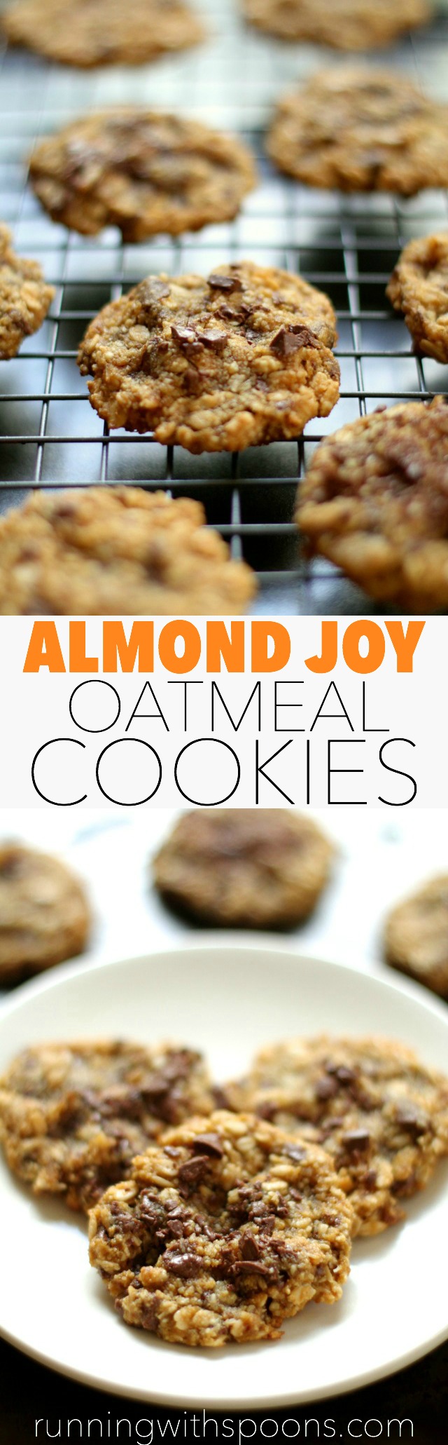 Almond Joy Oatmeal Cookies -- almond flour, coconut, and chocolate in a soft and chewy gluten-free oatmeal cookie || runningwithspoons.com #glutenfree #healthy #cookies