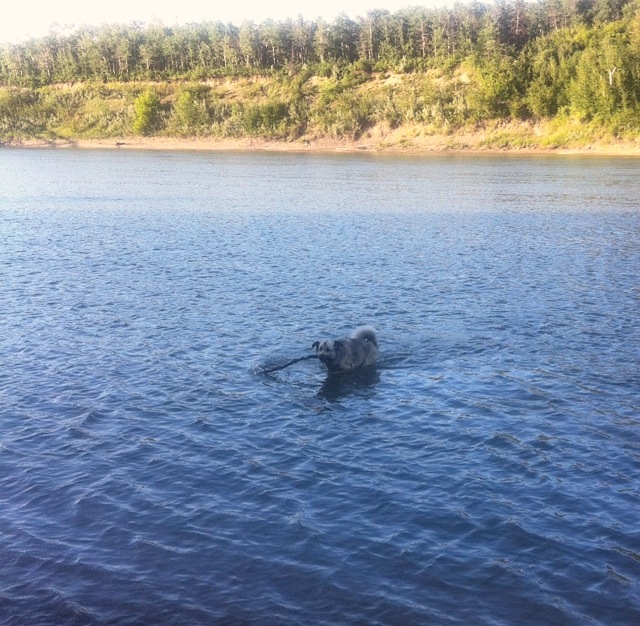 Kaiah in the River