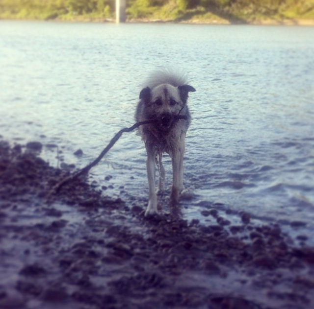 Kaiah with Big Stick