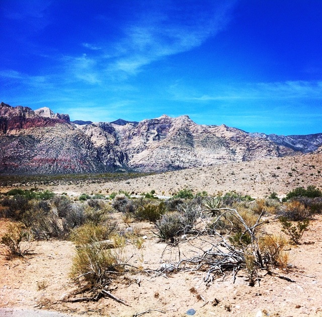 Red Rock Canyon2