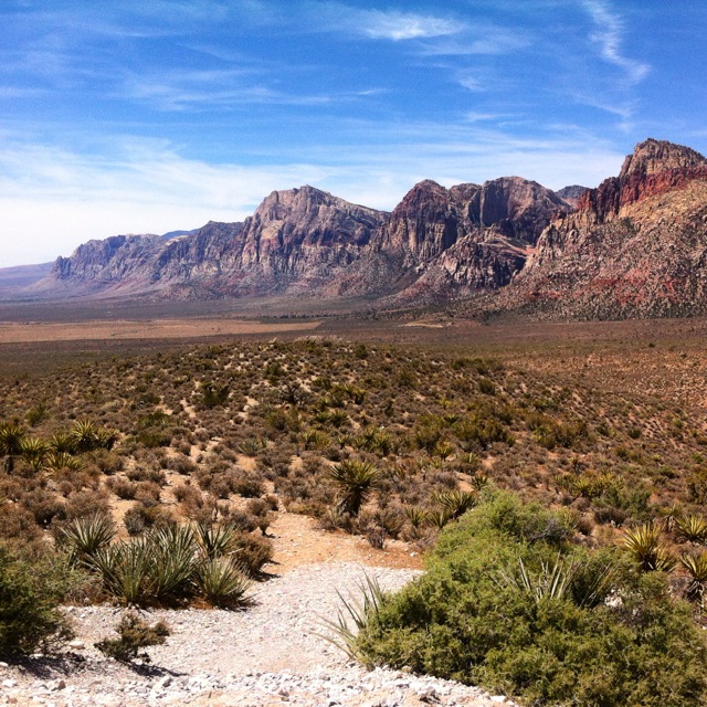 Red Rock Canyon4