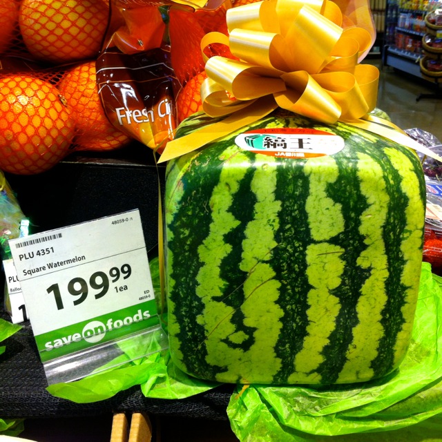 Square Melon