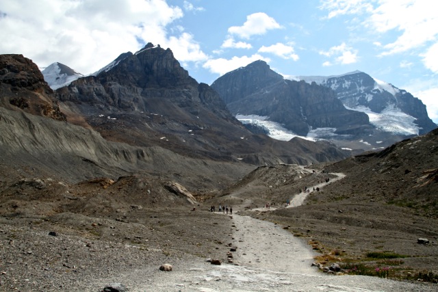 Athabasca Glacier