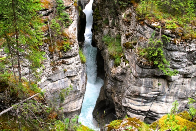 Maligne Canyon