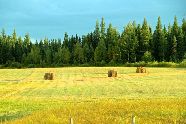 Bales of Hay