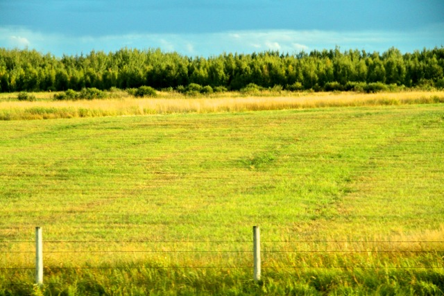 Farming Fields