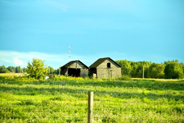 Old Shack