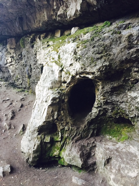 Creepy Longhorn Rock