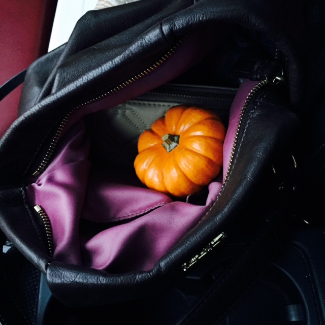 Purse Pumpkins