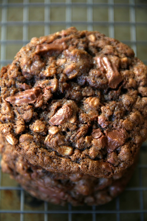 Double Chocolate Chip Oatmeal Cookies -- soft, chewy, and LOADED with chocolate flavour. The perfect treat for any chocolate lover! || runningwithspoons.com #chocolate #oatmeal #cookies