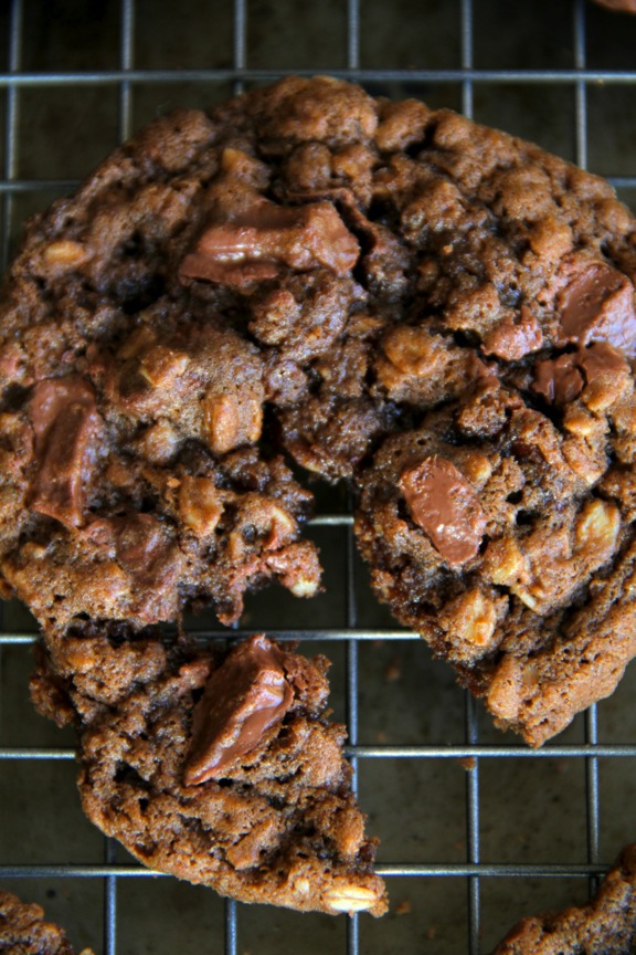 Double Chocolate Chip Oatmeal Cookies -- soft, chewy, and LOADED with chocolate flavour. The perfect treat for any chocolate lover! || runningwithspoons.com #chocolate #oatmeal #cookies