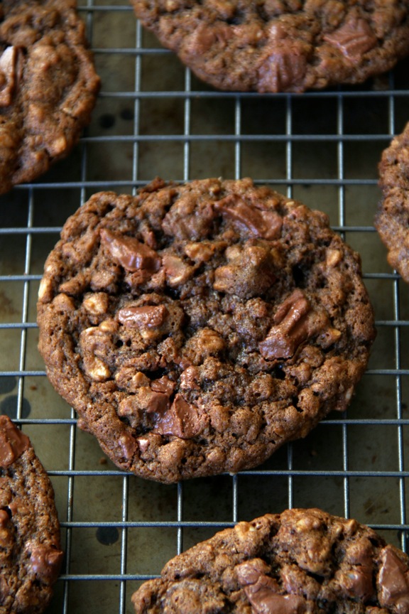 Double Chocolate Chip Oatmeal Cookies -- soft, chewy, and LOADED with chocolate flavour. The perfect treat for any chocolate lover! || runningwithspoons.com #chocolate #oatmeal #cookies