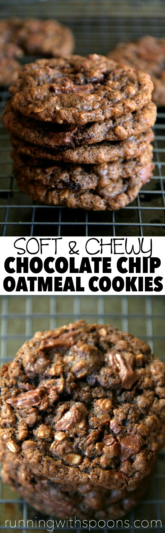 Double Chocolate Chip Oatmeal Cookies -- soft, chewy, and LOADED with chocolate flavour. The perfect treat for any chocolate lover! || runningwithspoons.com #chocolate #oatmeal #cookies