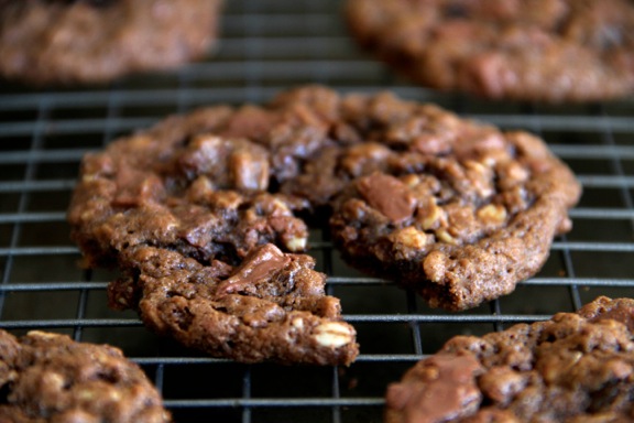 Double Chocolate Chip Oatmeal Cookies -- soft, chewy, and LOADED with chocolate flavour. The perfect treat for any chocolate lover! || runningwithspoons.com #chocolate #oatmeal #cookies