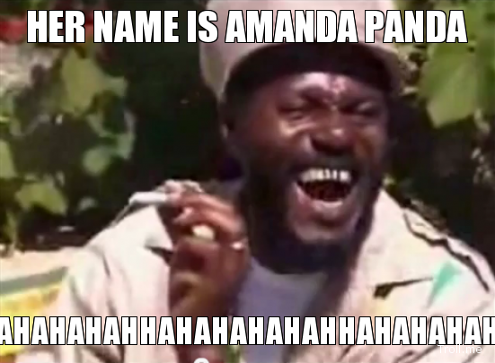 Amanda Meme2