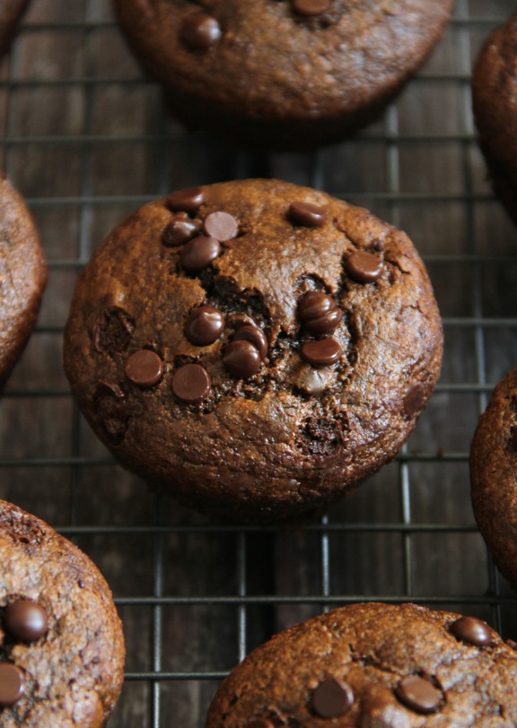 Flourless Chocolate Chip Gingerbread Muffins -- made without flour, butter, oil, or refined sugar, but so soft and tender that you'd never be able to tell! || runningwithspoons.com #glutenfree #gingerbread #muffins