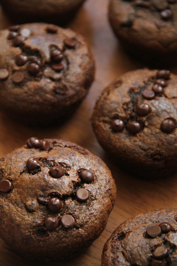 Flourless Chocolate Chip Gingerbread Muffins -- made without flour, butter, oil, or refined sugar, but so soft and tender that you'd never be able to tell! || runningwithspoons.com #glutenfree #gingerbread #muffins