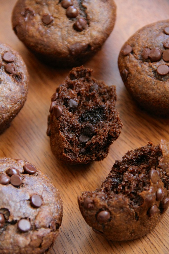 Flourless Chocolate Chip Gingerbread Muffins -- made without flour, butter, oil, or refined sugar, but so soft and tender that you'd never be able to tell! || runningwithspoons.com #glutenfree #gingerbread #muffins