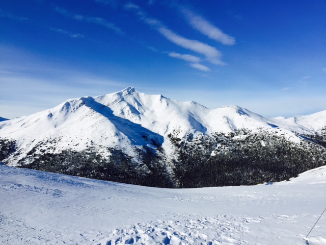 Beeautiful Proud Mountain