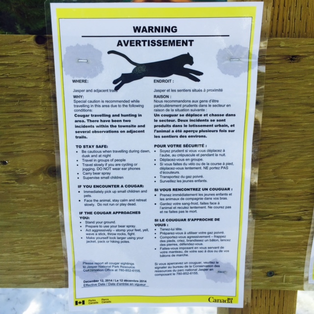 Cougar Warning