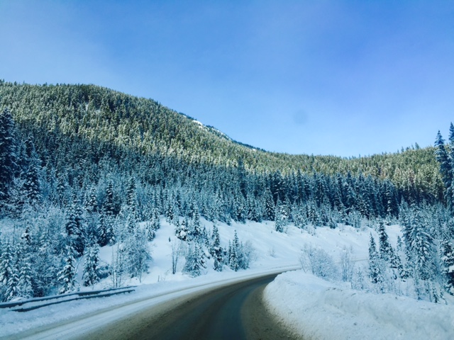 Curvy Mountain Road